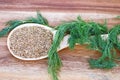 Dill Seed and Weed Royalty Free Stock Photo