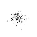 Dill Seeds Icon, Scattered Fennel Seeds Silhouette, Indian Spice Symbol on White Background Top View