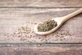 Dill seeds on wooden spoon, copy space