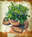 Dill, thyme, sDill, sage, lavender, mint, basil. Healthy food. H