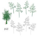 Dill Twigs Set