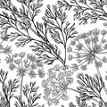 Dill vector pattern