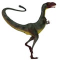 Dilong Dinosaur Tail