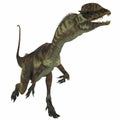 Dilophosaurus Dinosaur over White Royalty Free Stock Photo