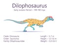Dilophosaurus. Theropoda dinosaur. Colorful vector illustration of prehistoric creature dilophosaurus and description of