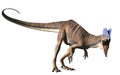 Dilophosaurus on a white background Royalty Free Stock Photo