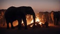 In the dim light of a bonfire, a gathering of elephants mingles and their silhouettes