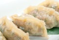 Dim-sum call Gyoza, Royalty Free Stock Photo