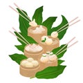 Dim Sum steamed dumplings set. Vector illustration of dim sum, baozi, mantou, momo, khinkali Royalty Free Stock Photo