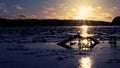 dim sun of winter sunset over frozen lake Royalty Free Stock Photo