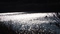 The dim sunlight reflected in the water, Ivars, Lerida, Spain, Europe