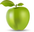 3-dimensional green apple  vector illustration  white background Royalty Free Stock Photo