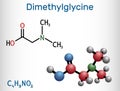 Dimethylglycine, DMG, molecule. It is derivative of the amino acid glycine. Structural chemical formula and molecule