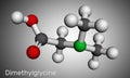 Dimethylglycine, DMG, N,N-dimethylglycine molecule. It is derivative of the amino acid glycine. Molecular model. 3D