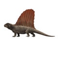 Dimetrodon