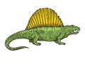 Dimetrodon dinosaur color sketch engraving