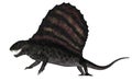 Dimetrodon dinosaur - 3D render