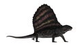 Dimetrodon dinosaur - 3D render