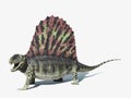 Dimetrodon dinosaur. At white background with dropped shadow. Royalty Free Stock Photo
