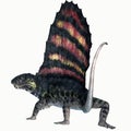 Dimetrodon Permian Reptile Tail Royalty Free Stock Photo