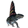 Dimetrodon Reptile on White