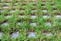 Diminishing perspective of turf stone pavers covered with green grass