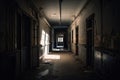 the dimly-lit hallways of an abandoned asylum, with shadows lurking in the corners