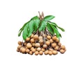 Dimocarpus longan fruit with green leaf  branch isolated on white background , clipping path Royalty Free Stock Photo