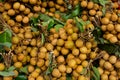 Dimocarpus longan or longan fruit on market Royalty Free Stock Photo