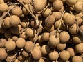 Dimocarpus longan, pile of fresh longan fruit for sale, longan fruit is generally sweet and delicious