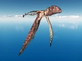 Dimorphodon