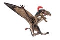 Dimorphodon Dinosaur with Christmas hat on white background