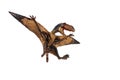 Dimorphodon Dinosaur on white background Royalty Free Stock Photo