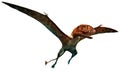 Dimorphodon