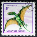 Dimorphodon, a genus of medium-sized pterosaur from the early Jurassic Period