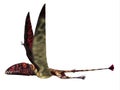 Dimorphodon Reptile Side Profile