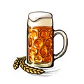 Dimpled Oktoberfest Glass Beer Mug and barley or wheat ear label logo design. Hand drawn vector illustration Royalty Free Stock Photo