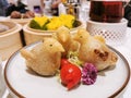 Dimsum details - fried glutinous rice balls with fillings made in cute little bird shape