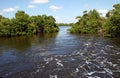 Ding Darling Wildlife Refuge Royalty Free Stock Photo