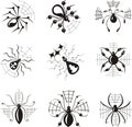 Dingbats with spiders