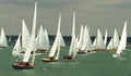 Dinghy Racing at cowes Week 2010 8 Royalty Free Stock Photo
