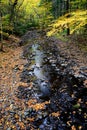 DingmanÃ¢â¬â¢s Falls, in the Delaware Water Gap National Recreation Area