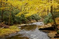 Dingmans Creek flowing through the forest in Autumn