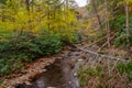 Dingmans Creek in the Poconos Mountains , Pennsylvania US.