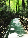 Dingmans Falls boardwalk through wood