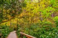 Dingmans Falls Park in the Poconos Mountains , Pennsylvania US.