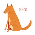 Dingo dog cartoon vector Australian animal