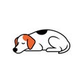 Dingo dog angry icon vector Royalty Free Stock Photo