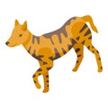 Dingo dog icon isometric vector. Wild animal Royalty Free Stock Photo