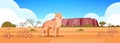 Dingo enjoying the sun in australia desert australian wild animal wildlife fauna concept landscape background horizontal